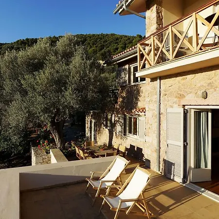 Hébergement de vacances Epidaurus Olive